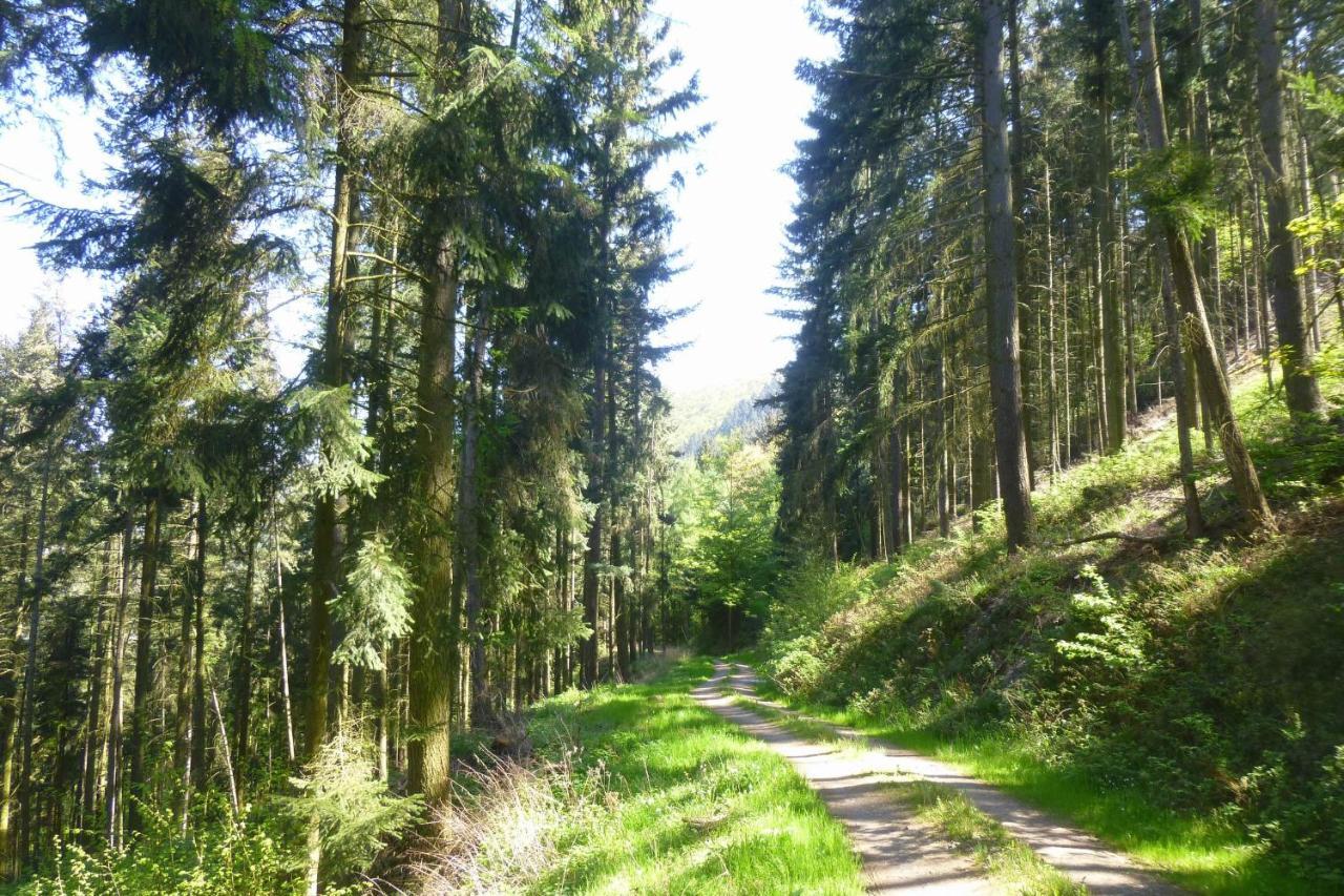 Moselschiefer Neu Ab Mai 2023 Traben-Trarbach Exterior foto