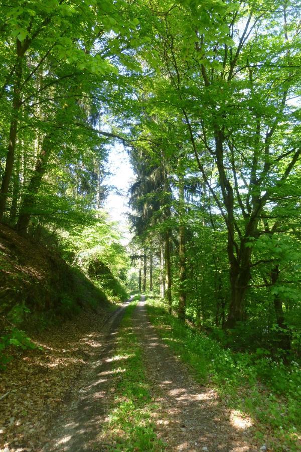 Moselschiefer Neu Ab Mai 2023 Traben-Trarbach Exterior foto